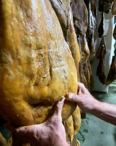 Jamón de cebo de campo ibérico 50% raza Ibérica