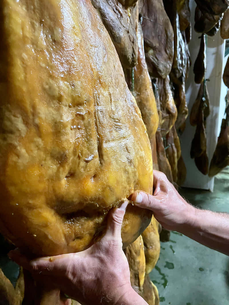 Jamón de cebo de campo ibérico 50% raza Ibérica