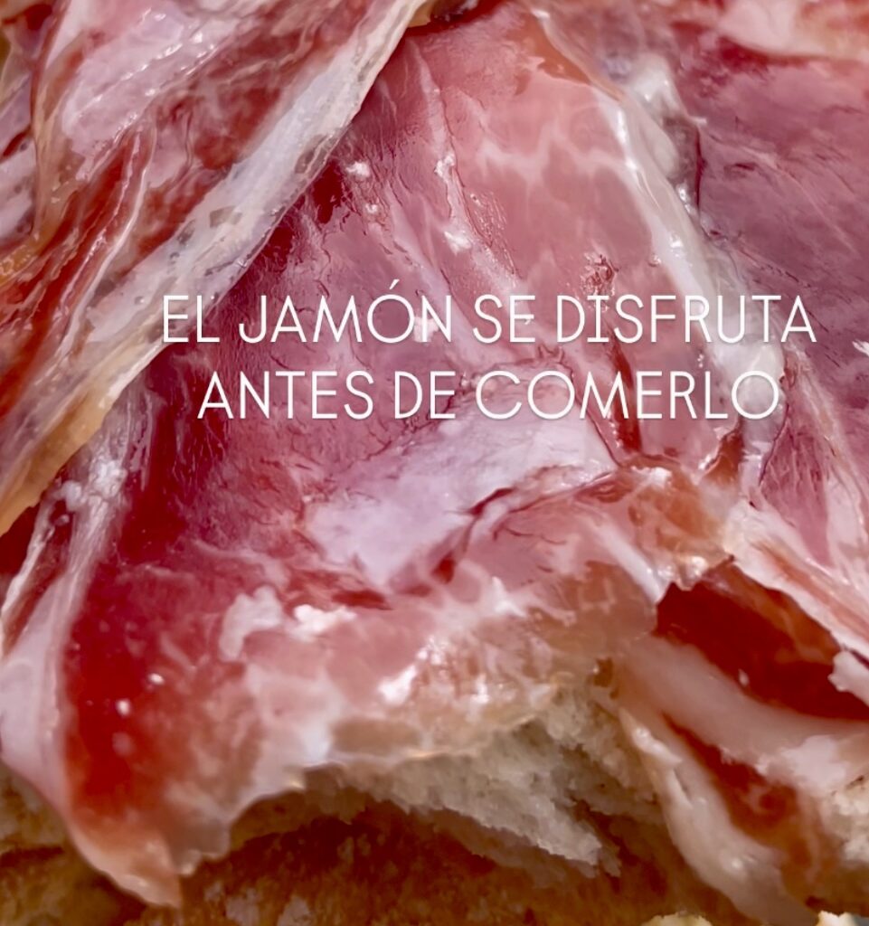 Paleta de bellota 100 % ibérica ariñane