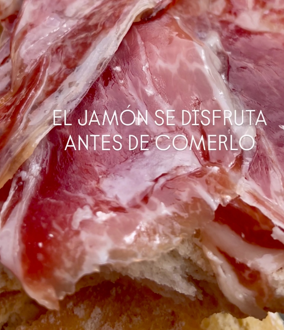 Paleta de bellota 100 % ibérica ariñane